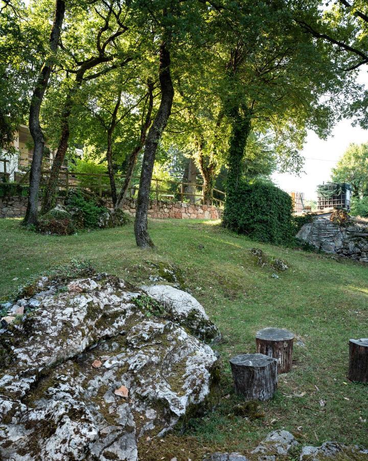 La Casetta, Appartamento Con Vista Lago E Montagne Сан-Дзено-ди-Монтанья Экстерьер фото